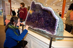 BOS_Harvard Amethyst.jpg